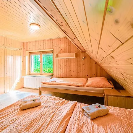 U Zaloudku Apartment Dolni Morava