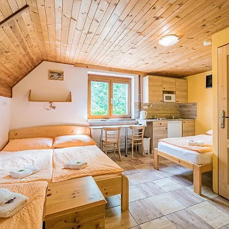 Apartment U Zaloudku *