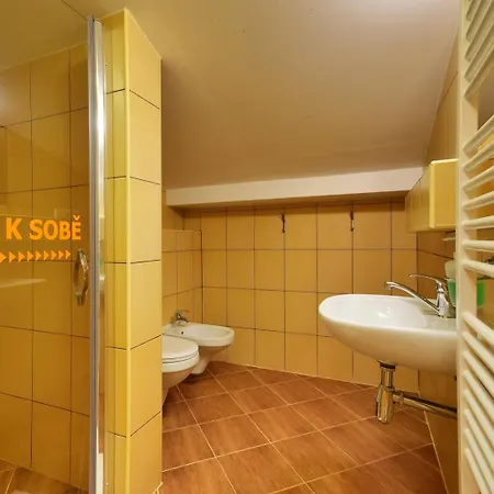 U Zaloudku Apartment *