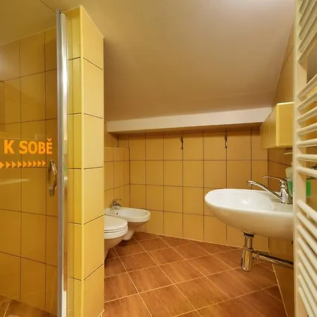 U Zaloudku Apartment Dolni Morava